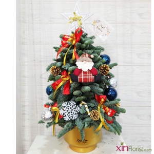 20221222_134636_copy_1167372006