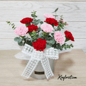 900_19727640_478508841_515583887_65089623