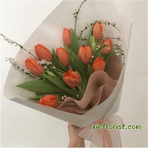 rm238_388193969_1980192093