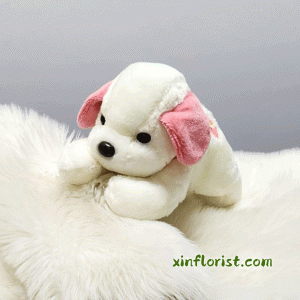 thumbnail_20250617_161845