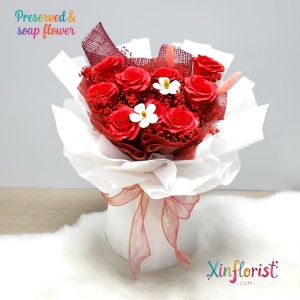 vx33-rm188