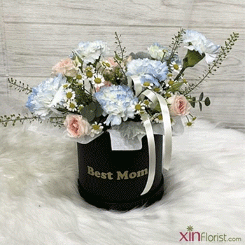 3501_1772232132_1837497408