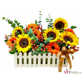 fb_img_1546754955725-900