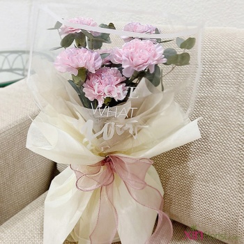 new_900_pink_car_copy