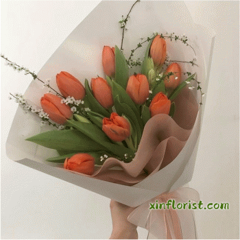 rm238_388193969_1980192093