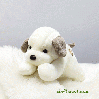 thumbnail_20250617_161557x