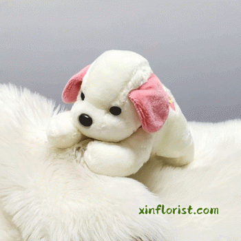 thumbnail_20250617_161845