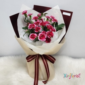 whatsapp_image_2026-04-11_at_17_25_39